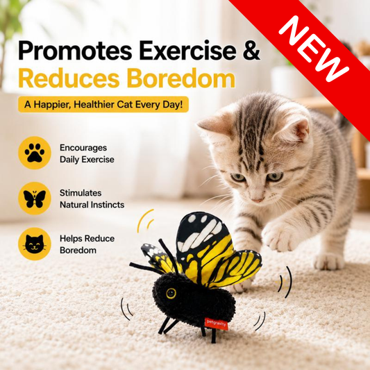 Real Prey™ - Realistic Butterfly Interactive Toy For Cats